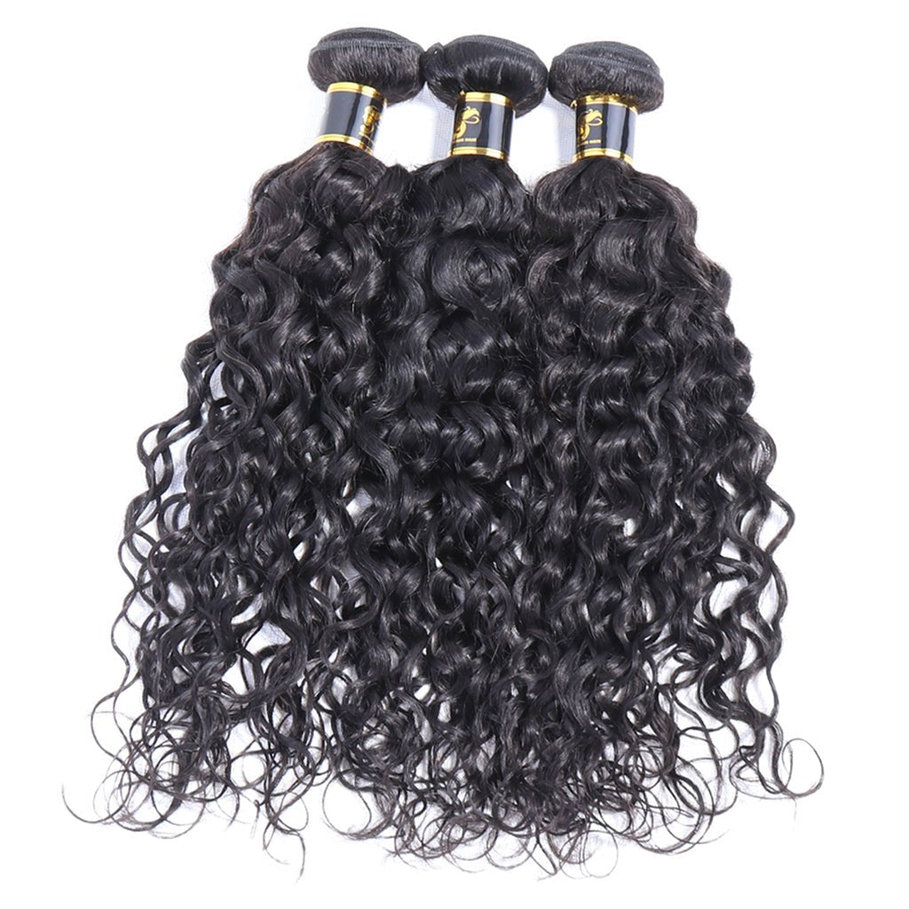 Aosun Hair Water Curly Bundles With Closure 100% Human Hair 3 Bundles Hair Free Shipping