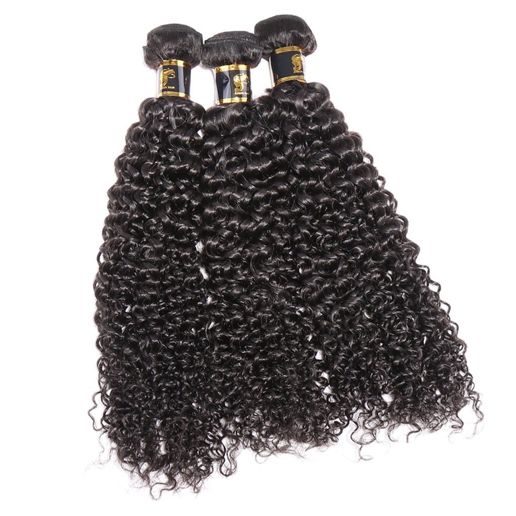 Aosun Hair Kinky Curly Bundles With Closure 3 Bundles Virgin Human Hair Free Shipping