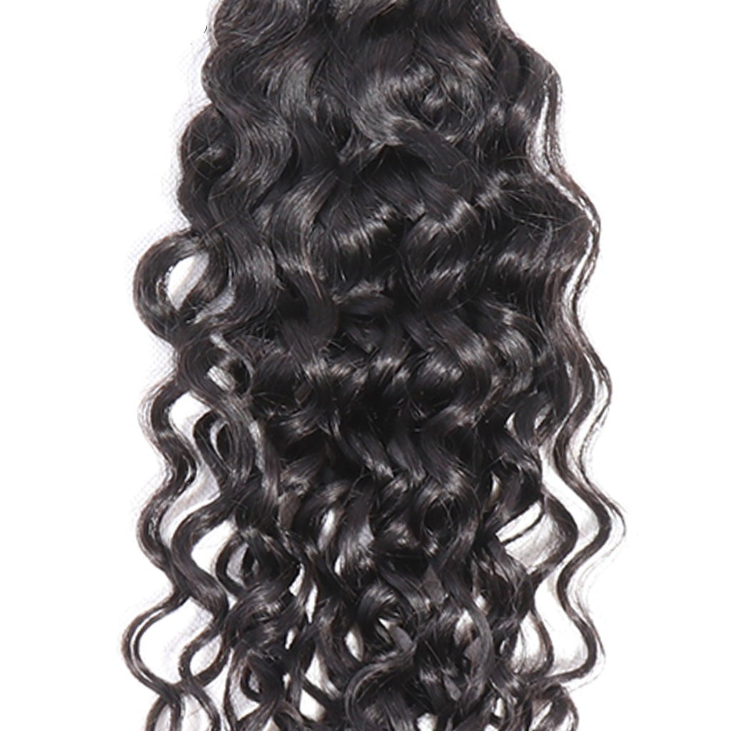 Aosun Hair Water Curly Bundles With Closure 100% Human Hair 3 Bundles Hair Free Shipping